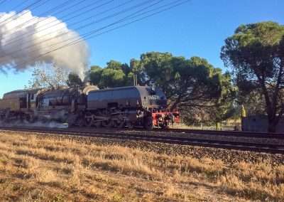 NSWGR Garratt Class Locomotive