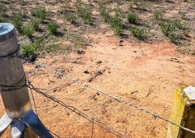 One Of Our Geocache Hides