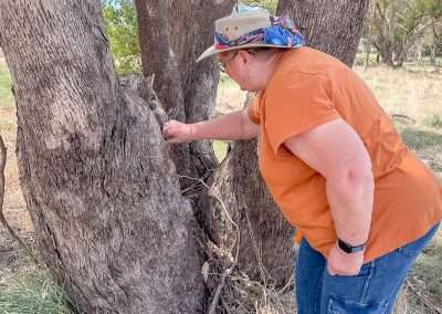 Out And About Geocaching At Marrar Again