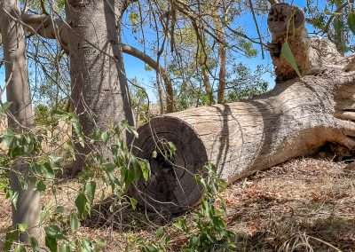 There's A Geocache There Somewhere!