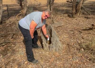 Geocaching Around Glenelg And Holy Camp Near Grenfell