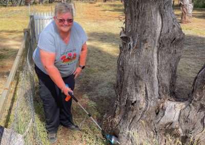 Geocaching Around Glenelg Near Grenfell