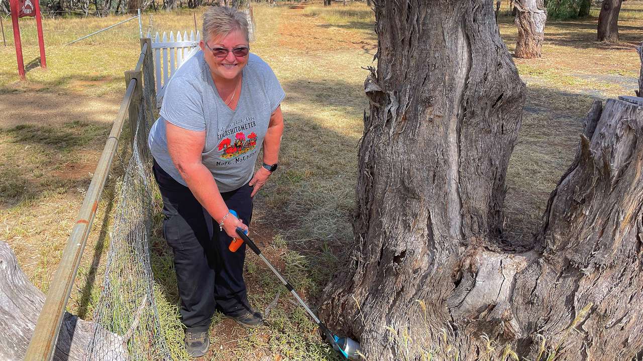 Geocaching Around Glenelg Near Grenfell