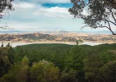 Looking At Lake Eildon From Top Of Ridge