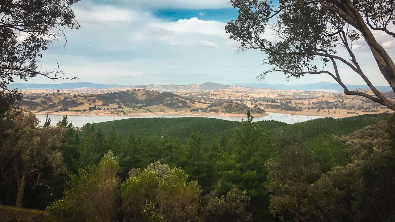 Looking At Lake Eildon From Top Of Ridge