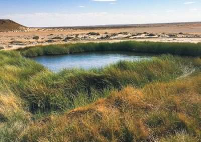 The Bubbler Moundspring On The Oodnadatta Track