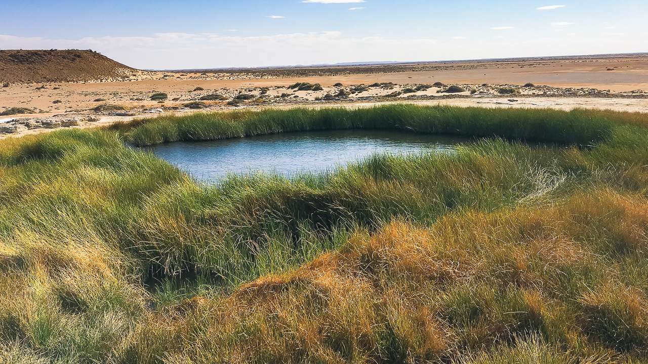 The Bubbler Moundspring On The Oodnadatta Track