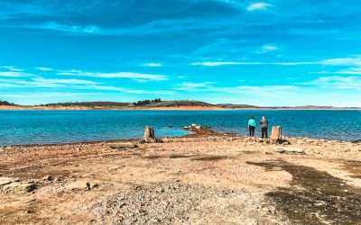 Exploring Old Adaminaby: A Weekend Of History & Wild Horses