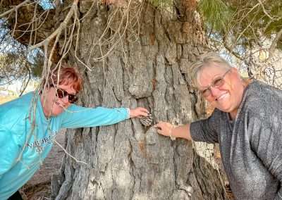 Found A Geocache In Old Adaminaby Cemetery