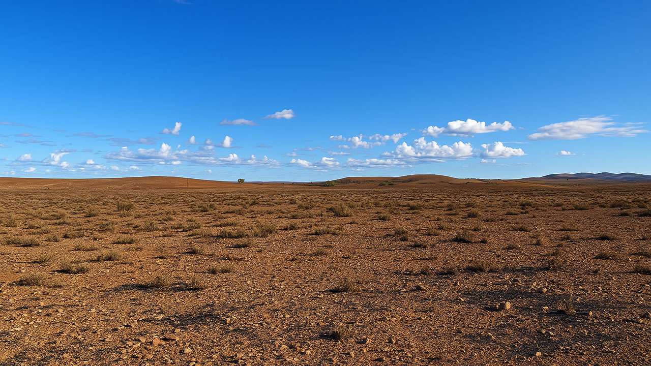 Fowlers Gap Rest Area