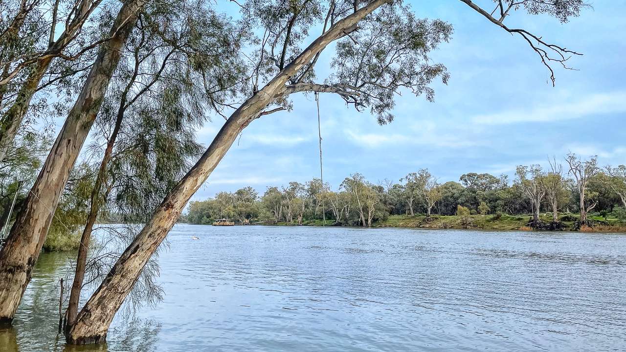 Free Camping On The Murray River