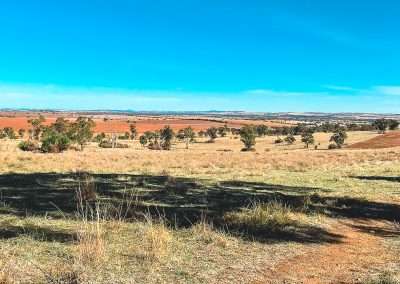 Great View From Near The Town Water Tanks In Junee