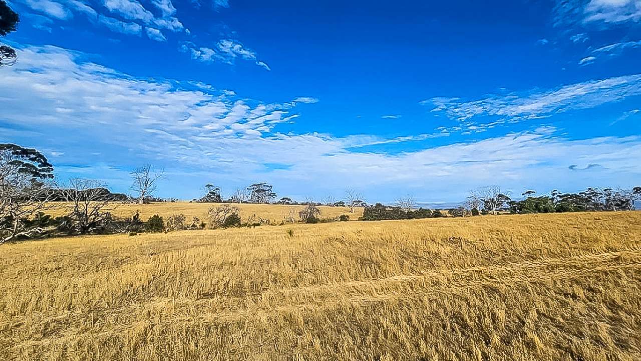 Jump Off Road Experience Site 1 Kangaroo Island Hipcamp
