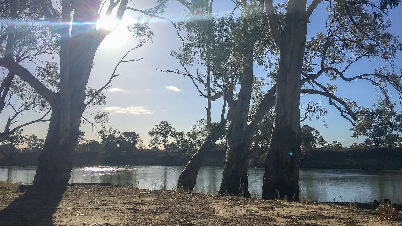 Nice Campsite On The Murray
