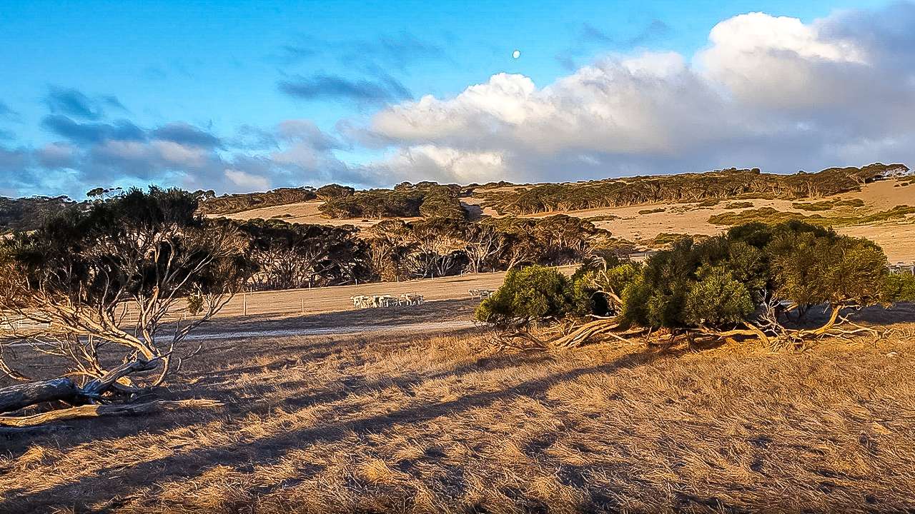 Rose Cottage Farm Caravan Rest - Camping Kangaroo Island South Australia