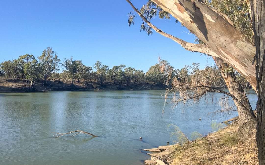 25 Swan Hill Free Camping Sites: Perfect For Swan Hill Camping