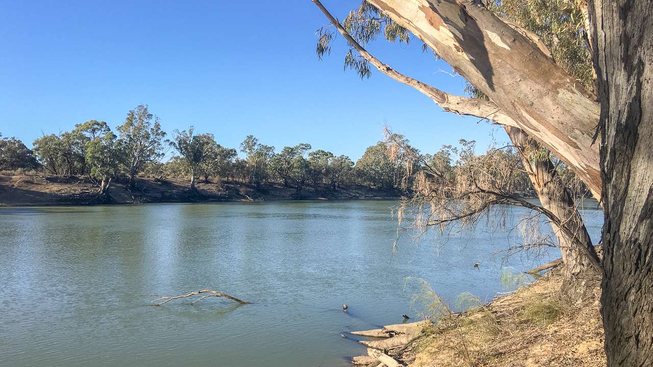 Swan Hill Camping