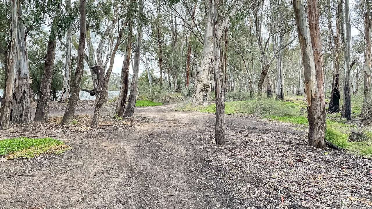 Swan Hill Free Camping