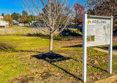 Adelong Snowy Valley