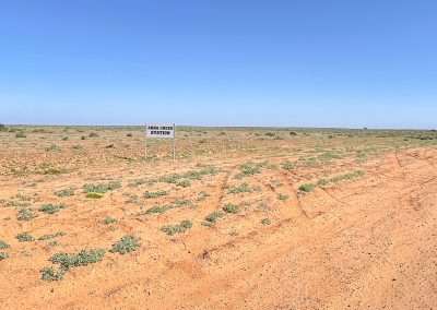 Road Conditions On The Oodnadatta Track Shortcuts To Anna Creek Station