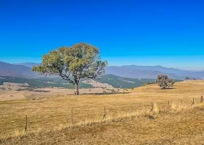 View From Southern Cloud Memorial Lookout