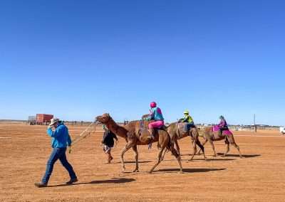 Camel Racing