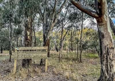 Hay Shire Council Green River Banks Project 1999