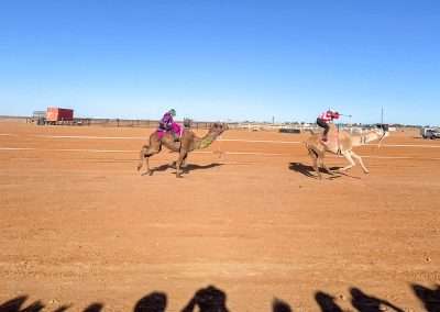 Look At 'Em Go! Marree Camel Races