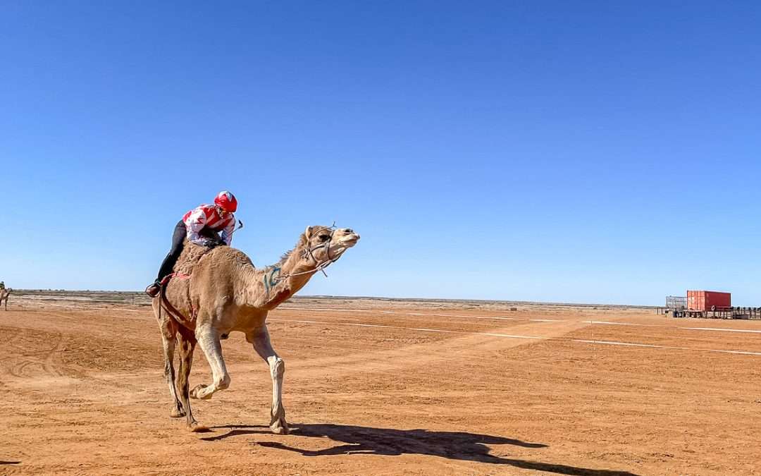 2026 Marree Camel Cup Races – Put It On Your List!