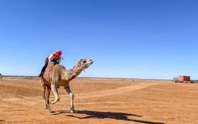 2026 Marree Camel Cup Races – Put It On Your List!