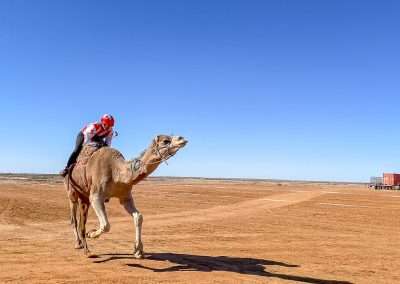 Look At Him Go! Camel Racing Is Crazy