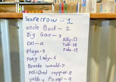 Marree Camel Cup 2025 Form Guide