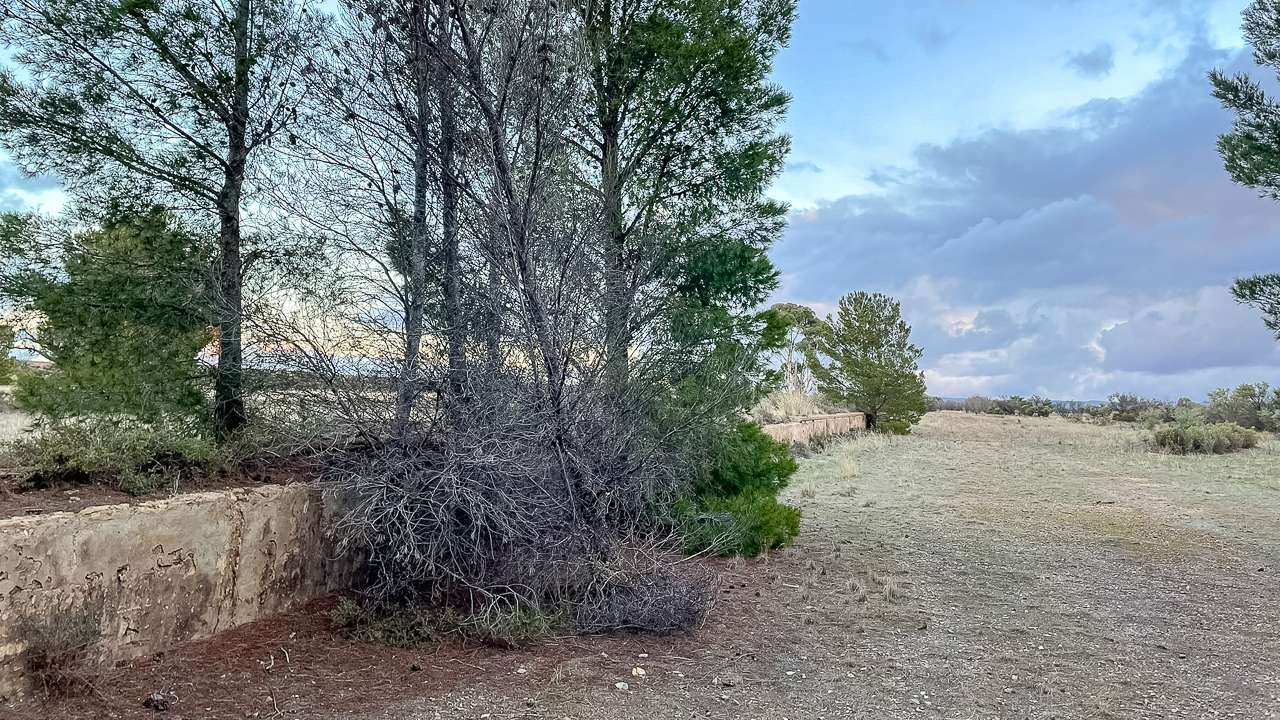 Yarcowie Railway Campsite Between the Old Abandoned Railway Platforms