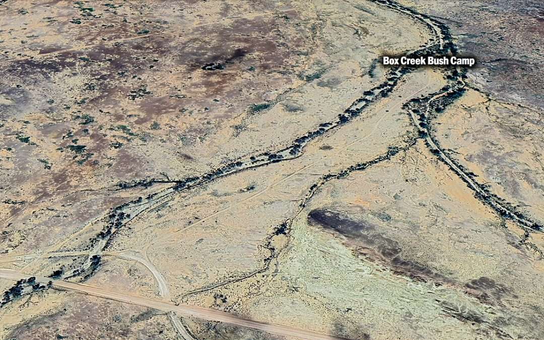 Box Creek Bush Camp Campsite – Oodnadatta Track