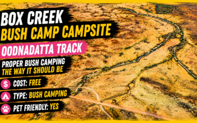 Box Creek Bush Camp Campsite – Oodnadatta Track