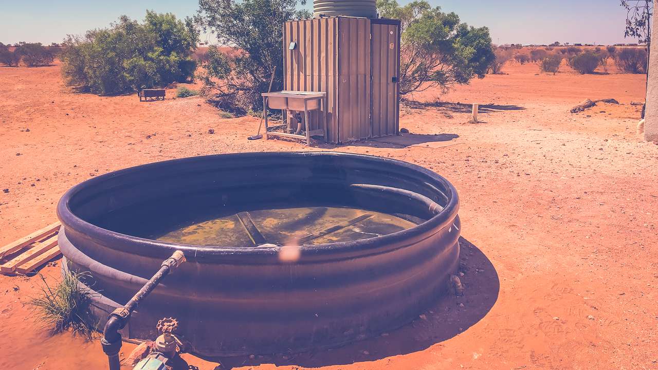 Clayton Station Birdsville Track Camping