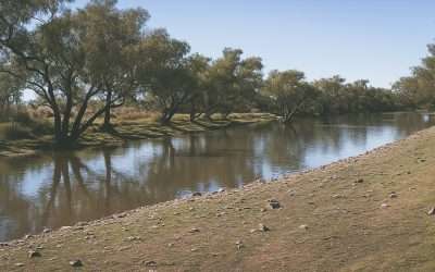 Kathleen Creek Campsite – Oodnadatta Track