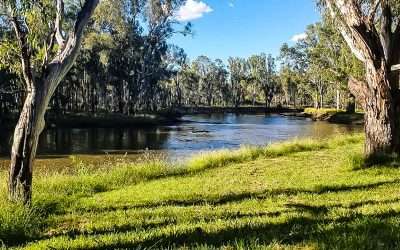 The Police Paddocks Campsite: Murray River Free Camp