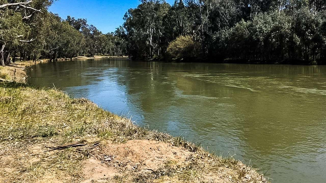 Police Paddocks Near Rutherglen