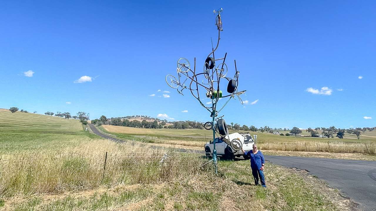 A Tree Or Not A Tree Corner Of Kilrush And Old Gundagai Road