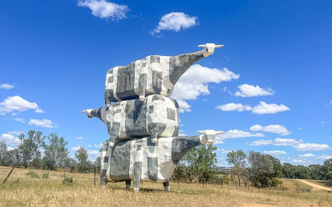 Cullinga, Harden, Murrumburrah & Binalong Geocaching