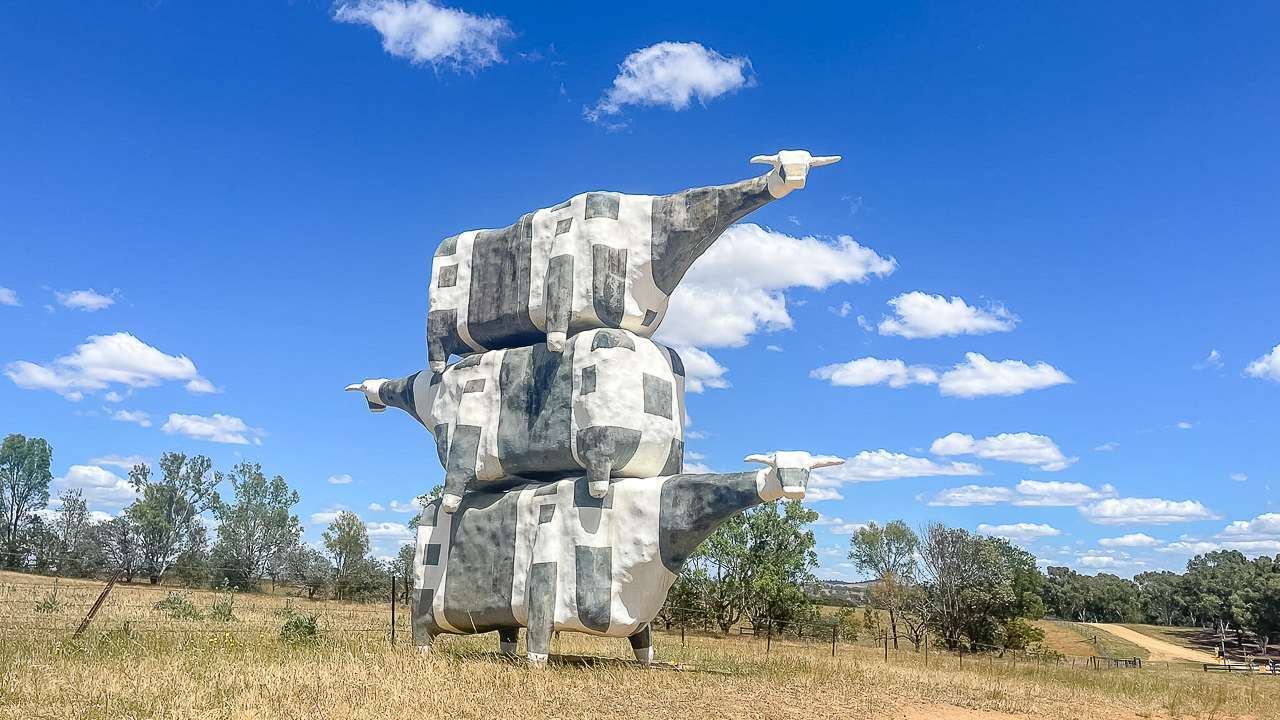 Cow Sculpture Out The Back of Cullinga