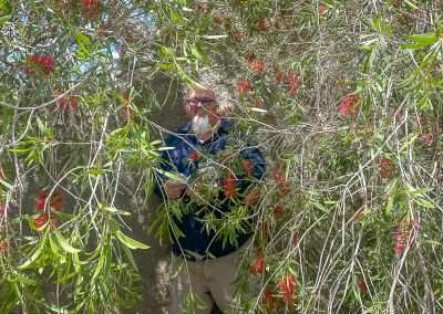 Finding A Geocache At Murrumburrah