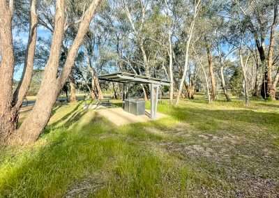 Gas BBQs In Pioneer Park