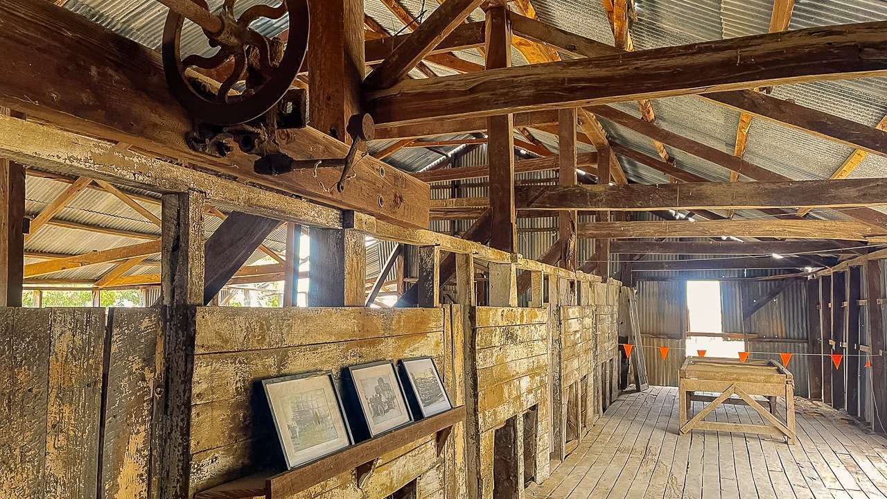 Overhead Shearing Gear Inside Dunlop Station Shearing Shed