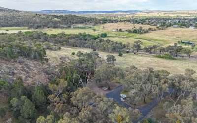Pioneer Park Cootamundra Free Camping
