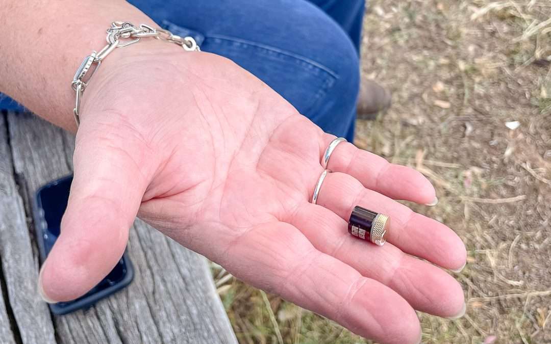 Geocaching The Oodnadatta Track