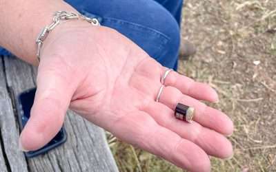 Geocaching The Oodnadatta Track