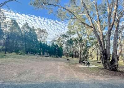 Woodfired BBQs And A Great Free Campsite In Pioneer Park Cootamundra NSW