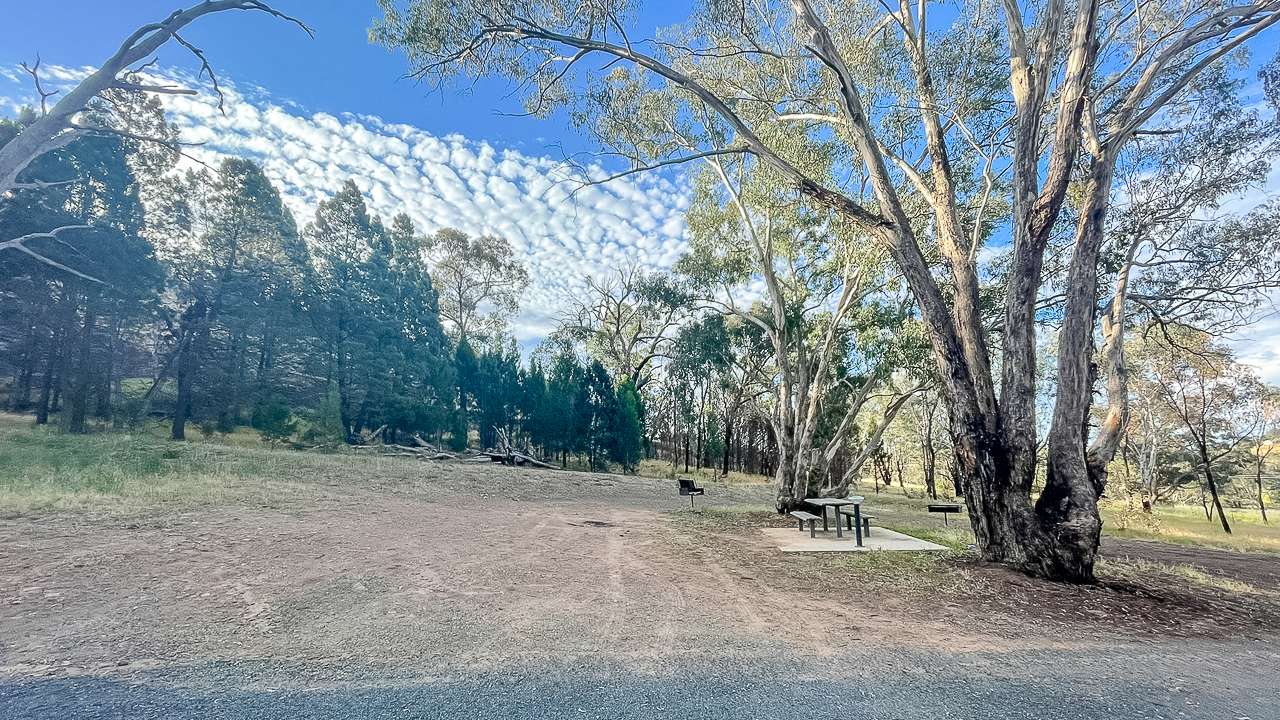 Woodfired BBQs And A Great Free Campsite In Pioneer Park Cootamundra NSW
